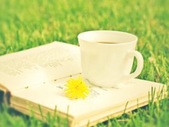 3 slow life