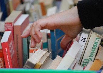 Culture Hands Literature Books Reading